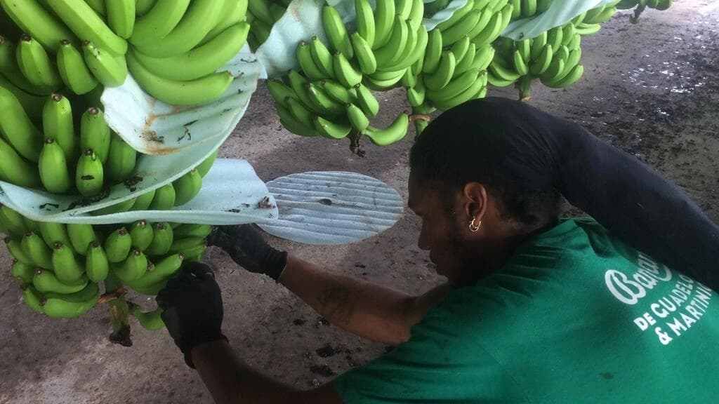 エコロジー image