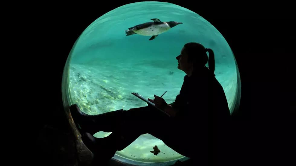 海の生存は、それを救うために必要な数十億ドルを見つけることにかかっている