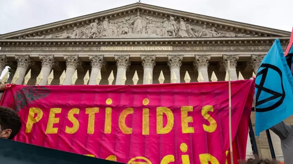 フランスは禁止された農薬の痕跡を持つ食品の輸入を停止します