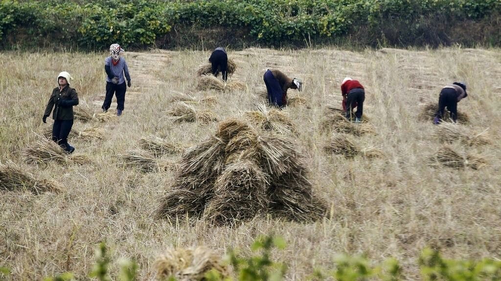 日本:裁判所、北朝鮮脱出住民の平壌に対する訴えを却下