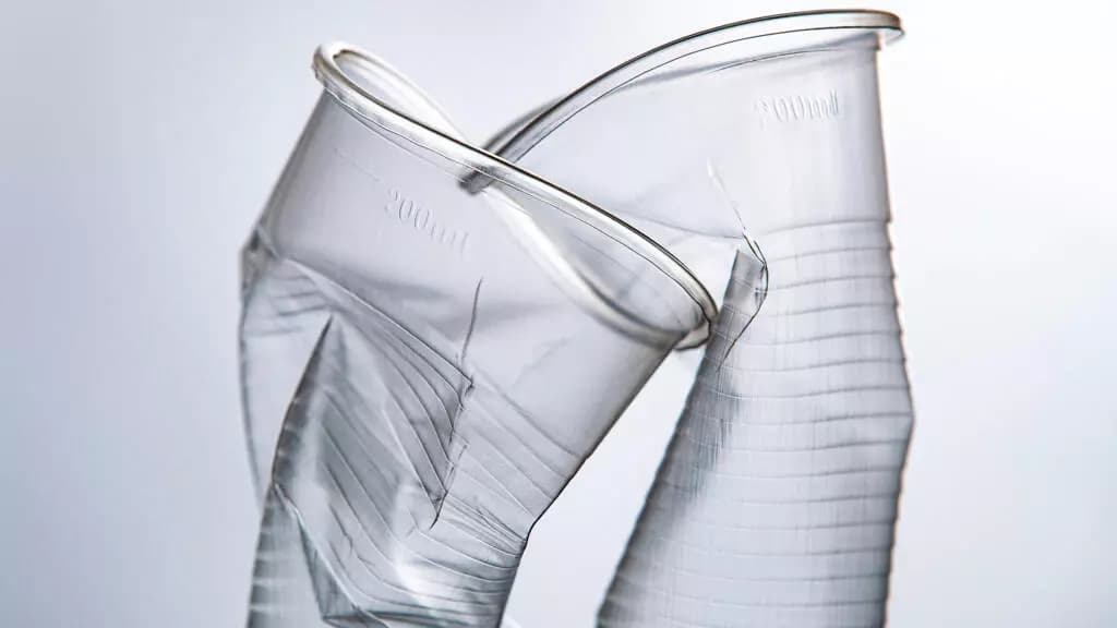 フランスは、代替手段が不十分であるため、プラスチックカップの禁止を4年間延期します。