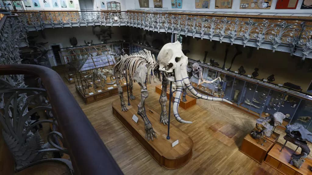 事件・犯罪 image